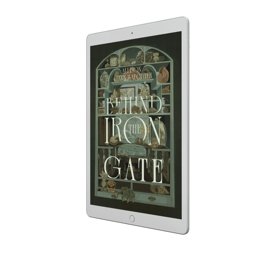 BEHIND THE IRON GATE | EBOOK PREORDER