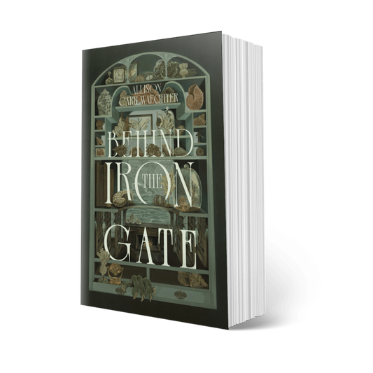 BEHIND THE IRON GATE | SIGNED PAPERBACK PREORDER (Copy)