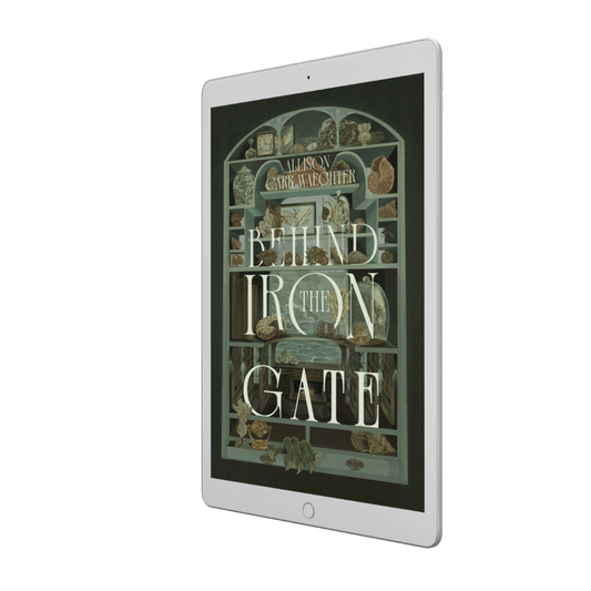 BEHIND THE IRON GATE | EBOOK PREORDER